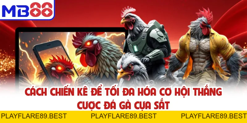 Đá Gà Cựa Sắt - MB88 Livestream Trực Tiếp, Đặt Cược Dễ Dàng - playflare89