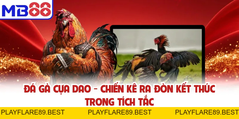 Tin tức MB88 - MB88 - playflare89