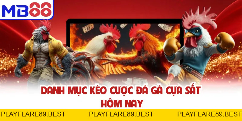 Đá Gà Cựa Sắt - MB88 Livestream Trực Tiếp, Đặt Cược Dễ Dàng - playflare89