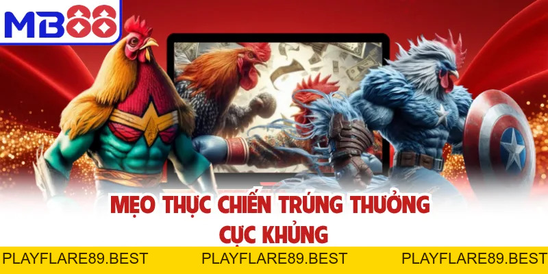 Đá Gà Cựa Dao MB88 - Chiến Kê Ra Đòn Kết Thúc Trong Tích Tắc - playflare89