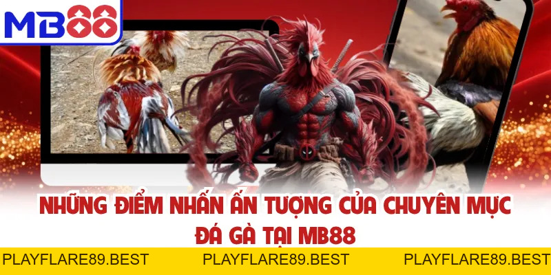 Đá Gà MB88 - Kèo Cược Minh Bạch Và Trường Gà Đa Dạng - playflare89