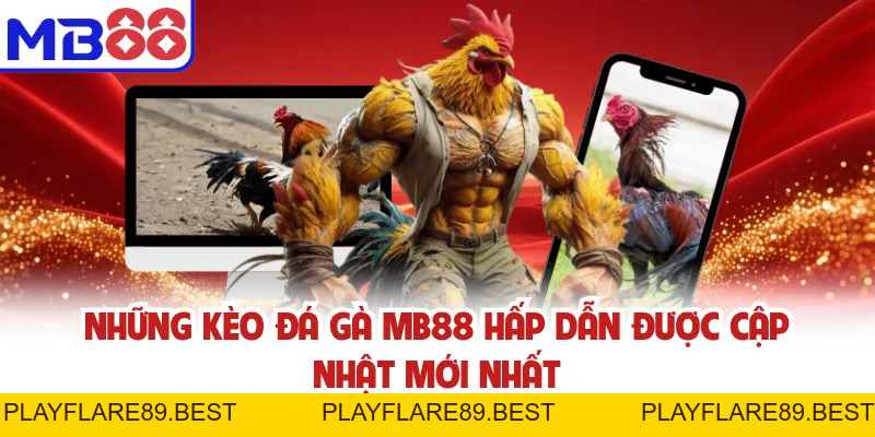Đá Gà MB88 - Kèo Cược Minh Bạch Và Trường Gà Đa Dạng - playflare89